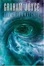 Cover of "The Stormwatcher"