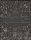 Cover of Quadrivium
