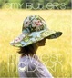 Cover of Amy Butler's Midwest Modern