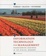 Cover of Information Technology for Management