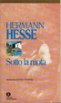 Cover of Sotto la ruota