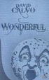Cover of Wonderful