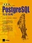 Cover of PostgreSQL完全攻略