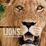 Cover of "Face to Face with Lions"