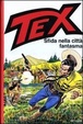 Cover of TEX Sfida nella città fantasma