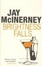 Cover of Brightness Falls
