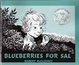 Cover of Blueberries for Sal
