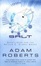 Cover of "Salt"