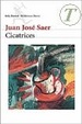 Cover of Cicatrices