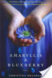 Cover of Amaryllis in Blueberry