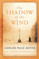 Cover of 'The Shadow Of The Wind'