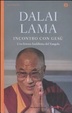 Cover of Incontro con Gesù. Una lettura buddhista del Vangelo