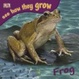 Cover of Frog
