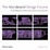 Cover of The Storyboard Design Course