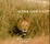 Cover of 'In the Lion's Den'