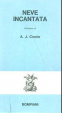 Cover of Neve incantata