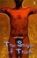 Cover of "The Shape of Things"