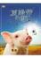Cover of "夏綠蒂的網 電影大發現"
