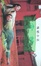 Cover of 青蛇