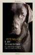 Cover of E io ti salverò. Il labrador femmina che la sapeva lunga