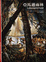 Cover of 亞馬遜雨林