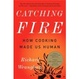 Cover of Catching Fire