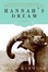 Cover of Hannah's Dream