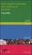 Cover of Cose importantissime che andranno perdute