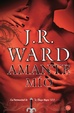 Cover of Amante Mio