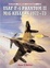 Cover of USAF F-4 Phantom II MiG Killers 1972-73