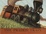 Cover of 'The Prairie Train'