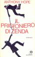 Cover of Il prigioniero di Zenda