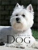Cover of A portrait of the dog