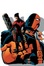 Cover of 'Nightwing'