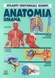 Cover of Anatomia umana