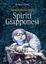 Cover of Enciclopedia degli spiriti giapponesi