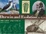 Cover of 'Darwin and Evolution for Kids'