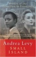 Cover of Small Island