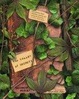 Cover of The Valley of Secrets