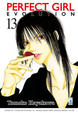Cover of Perfect Girl Evolution vol. 13
