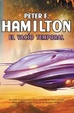 Cover of El vacio temporal