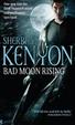 Cover of Bad Moon Rising
