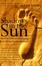 Cover of "Shadows in the Sun"