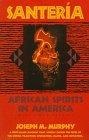 Santeria : African Spirits in America