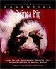 Cover of The Essential Guinea Pig