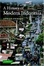 Cover of "A History of Modern Indonesia"