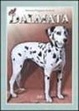 Cover of Il dalmata