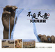 Cover of 不是天意