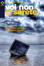 Cover of Voi non ci sarete