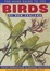 Cover of "Hand Guide to the Birds of New Zealand"